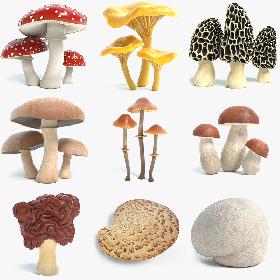 3D Mushroom Collection